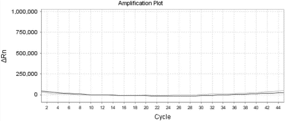 Primer pair, kit and method for methylation detection of lung cancer related gene SHOX2