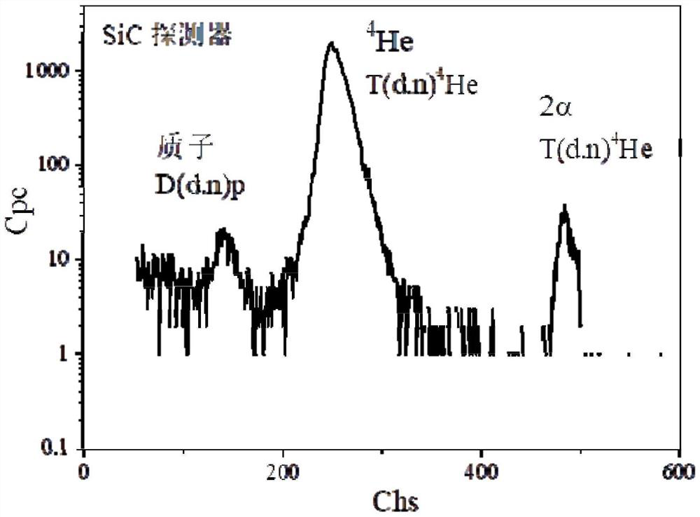 Neutron beam monitoring system based on silicon carbide detector