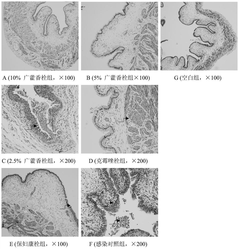 Pogostemon cablin suppository, preparation method and application