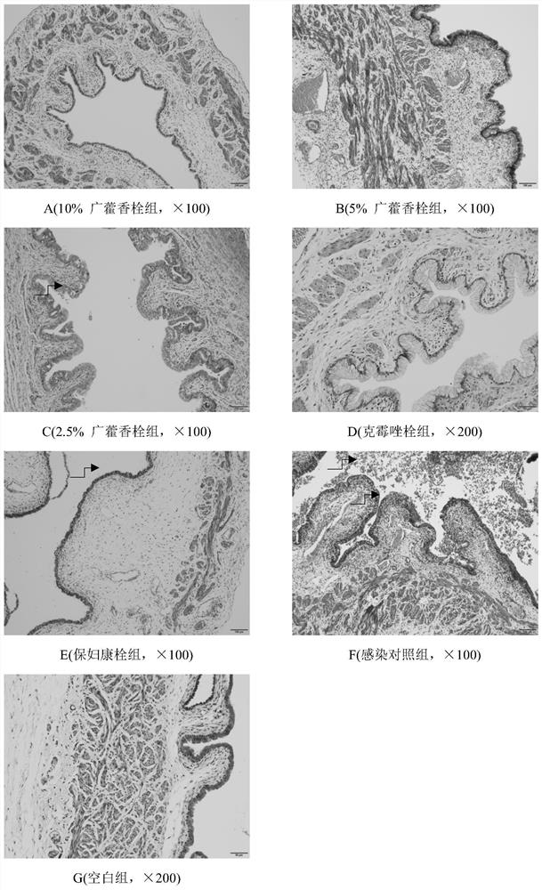 Pogostemon cablin suppository, preparation method and application