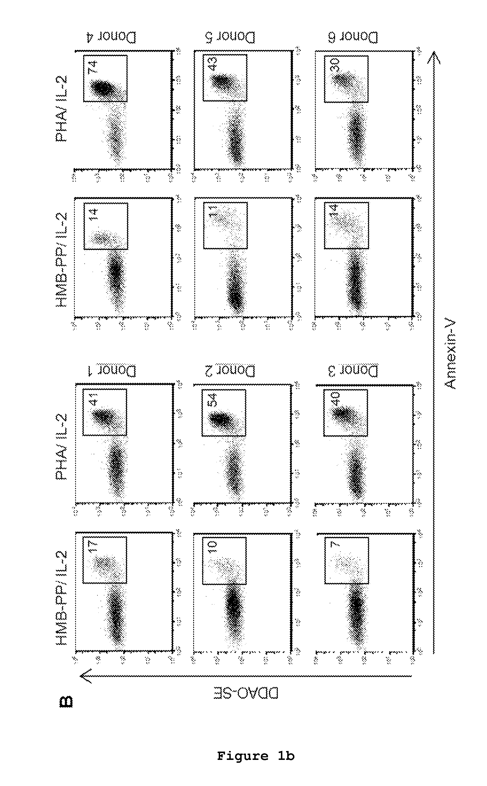 Cell line of lymphocytes comprising gamma-delta t cells, composition and production method thereof