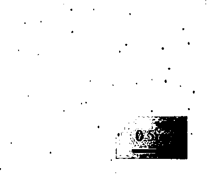 Preparation method of fibroin microsphere