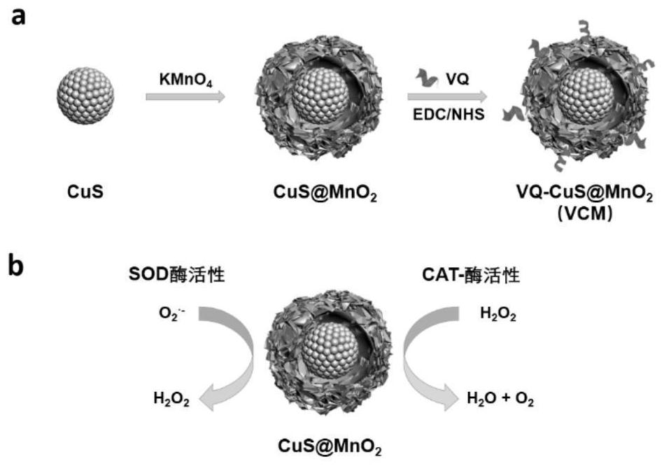 Copper sulfide/manganese dioxide composite material and preparation method and application thereof