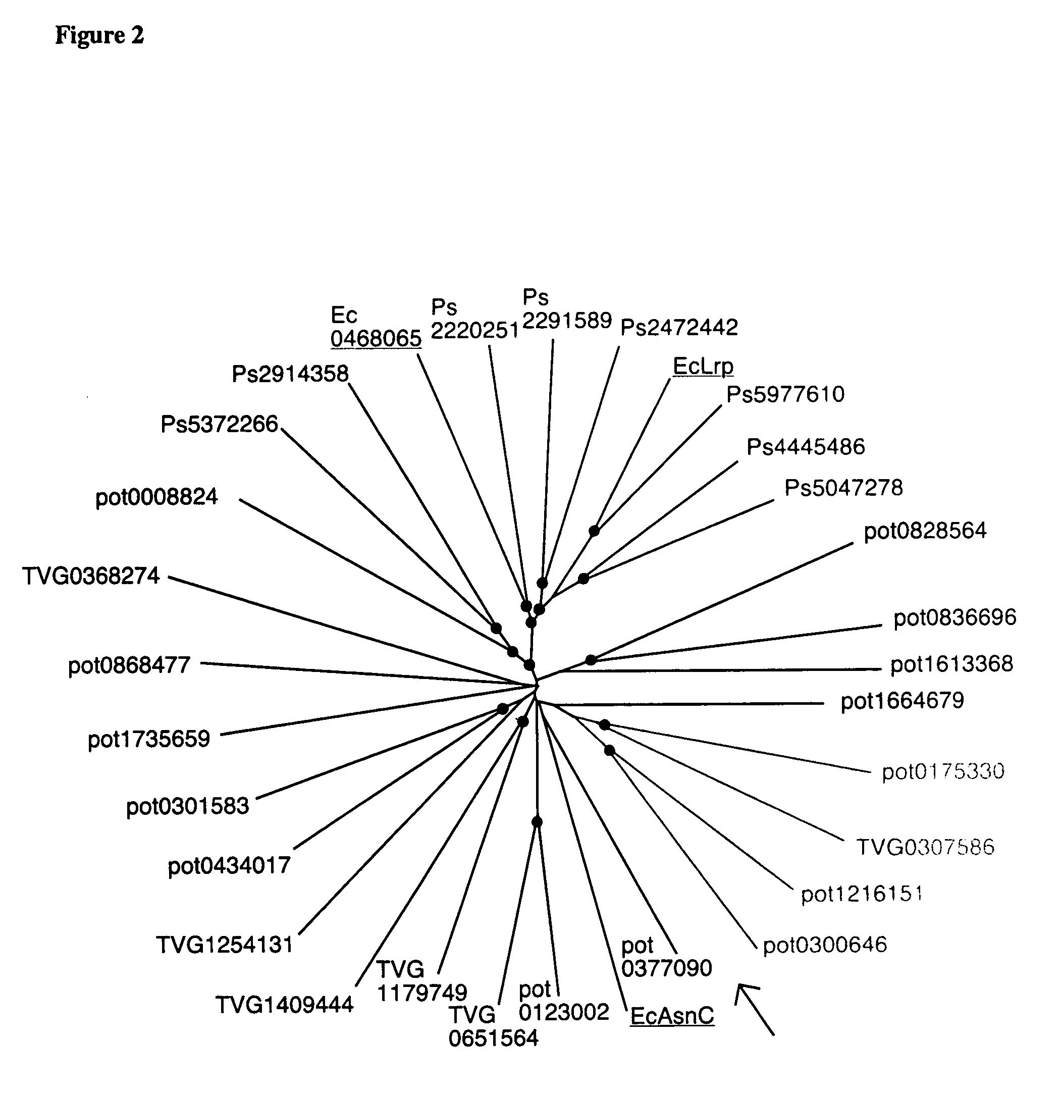 Method of screening for antimicrobial agents