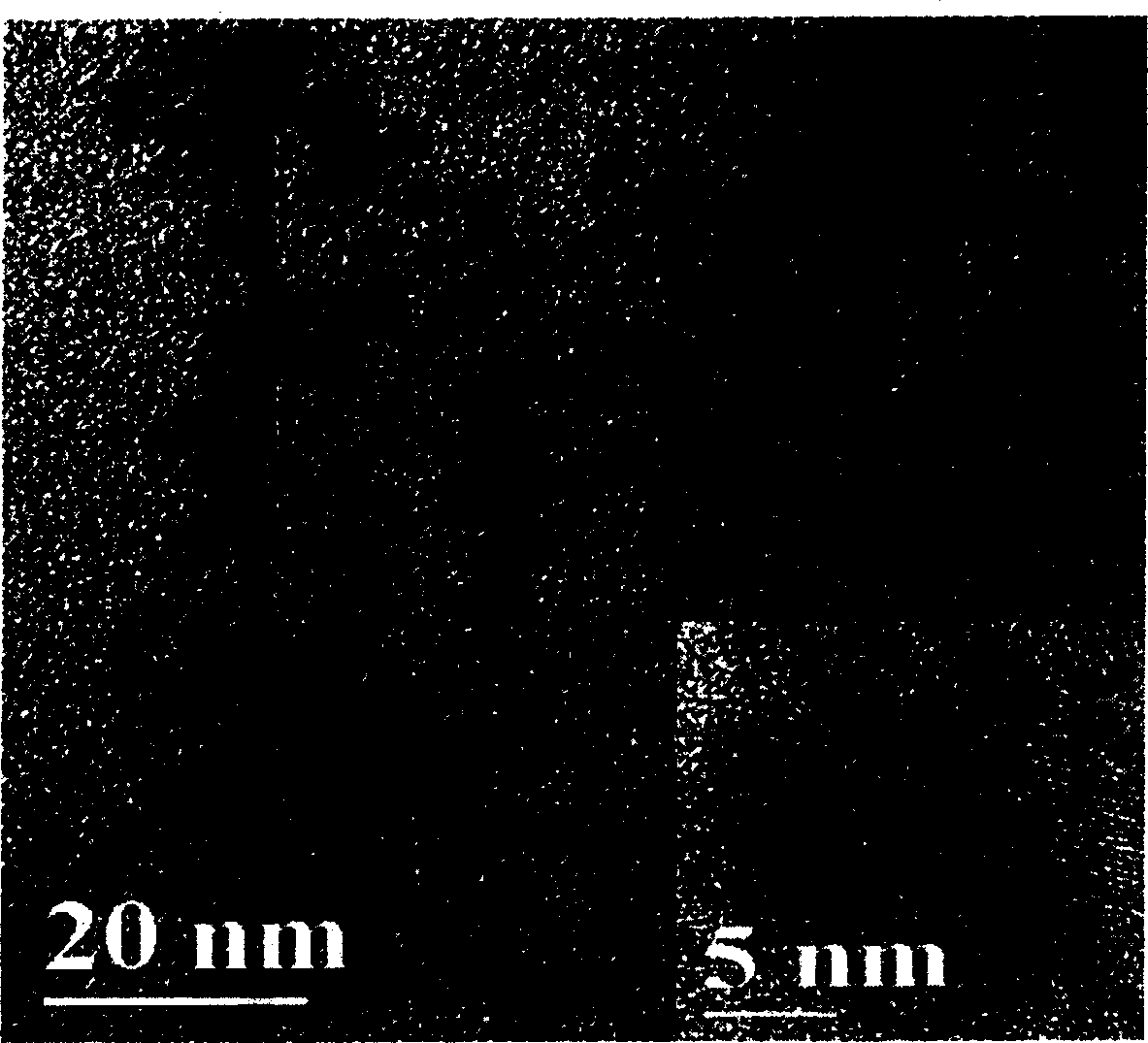 Process for preparing water soluble cadmium telluride quantum point with program controlling microwave