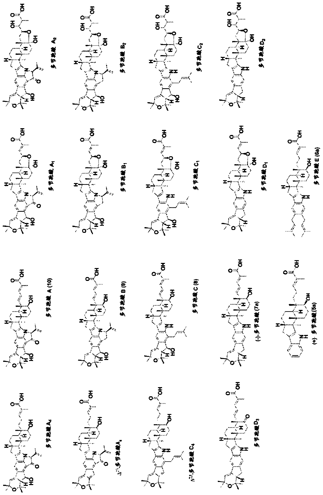 Heterologous biosynthesis of nodulisporic acid