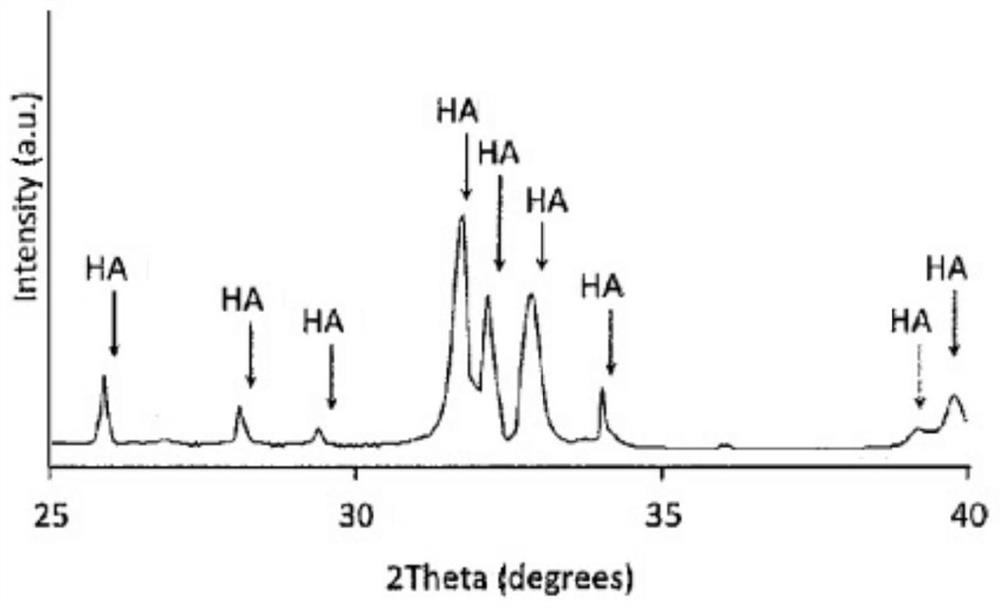 Apatite microcarrier and preparation method and application thereof