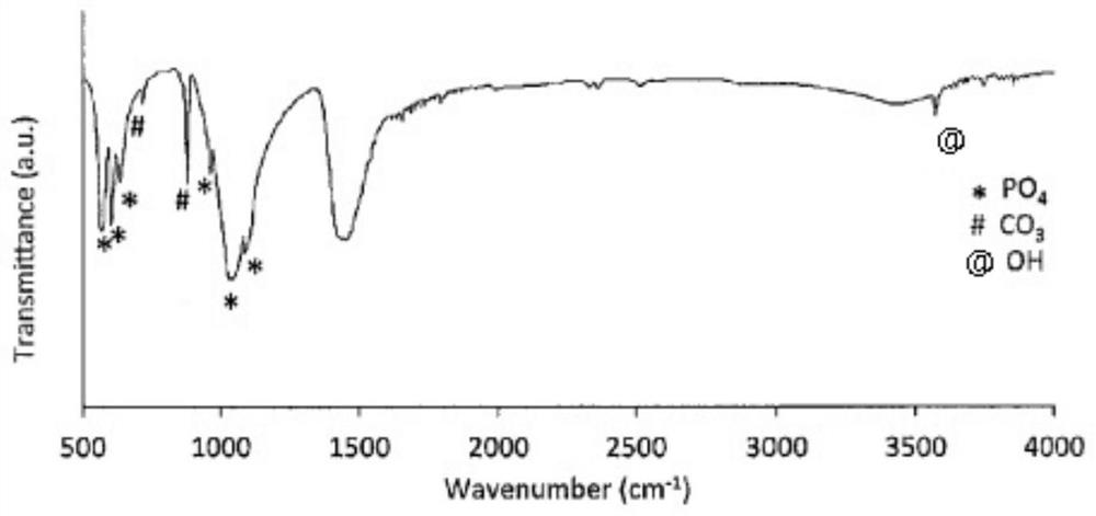 Apatite microcarrier and preparation method and application thereof