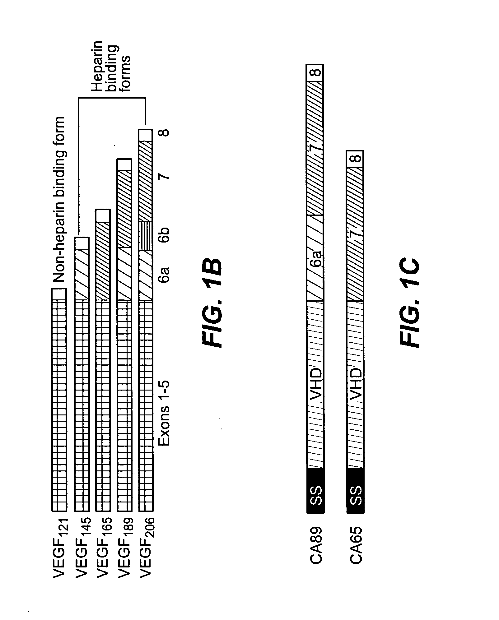 Heparin binding VEGFR-3 ligands