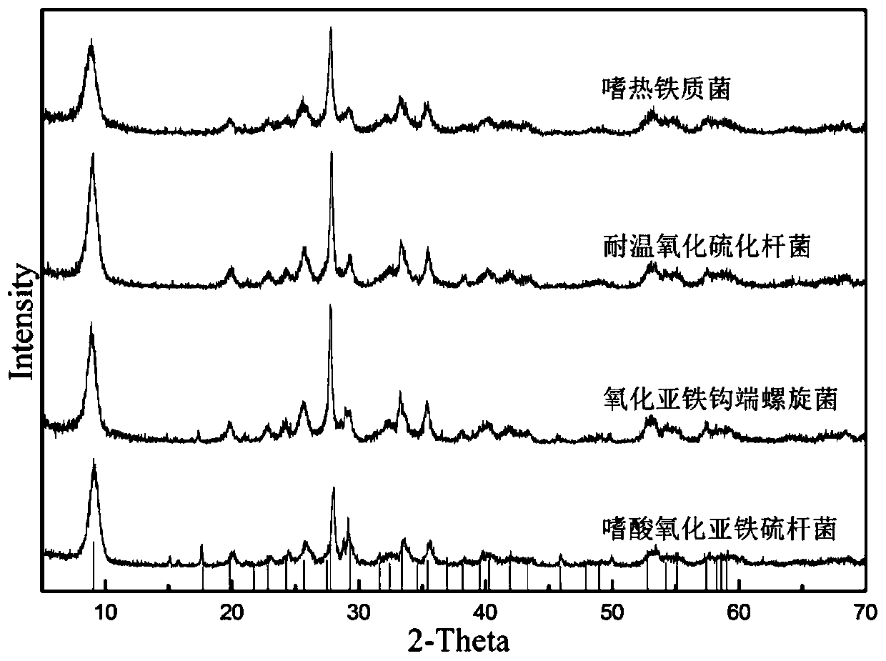 A method of using microorganisms to treat wastewater containing trivalent arsenic