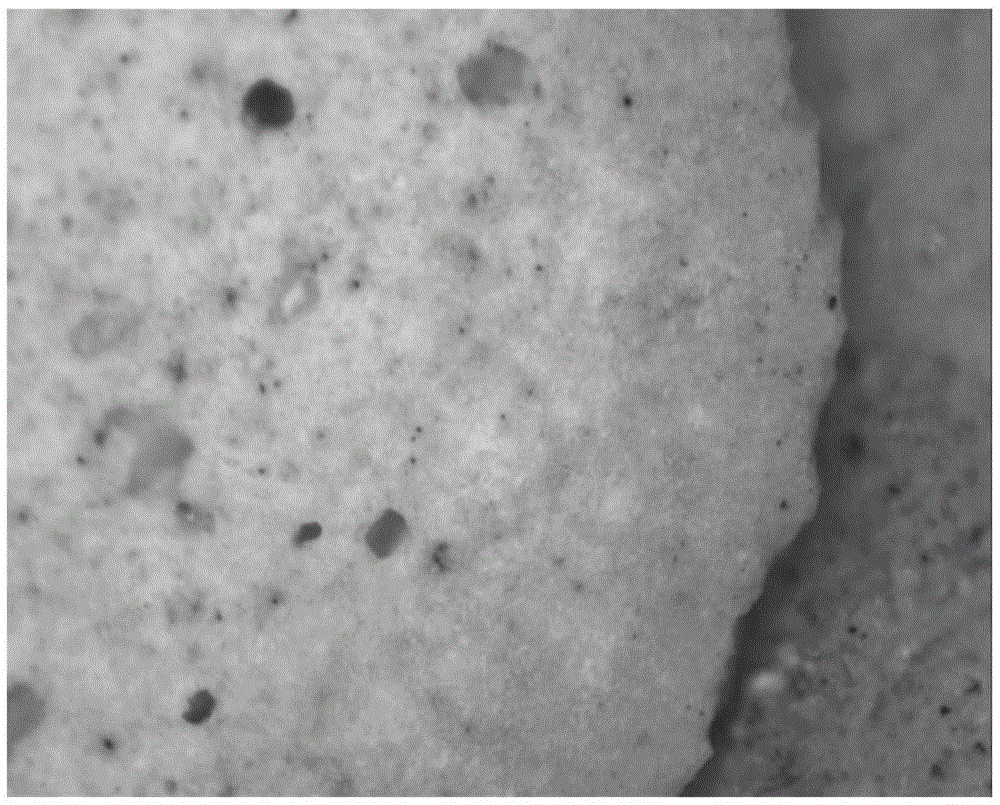 A kind of lightweight ceramsite assisted sintering on the surface of sodium sulfate and preparation method thereof