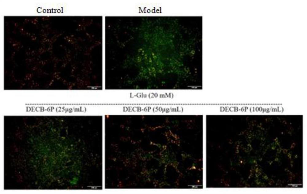 A kind of hexapeptide and its application and pharmaceutical composition