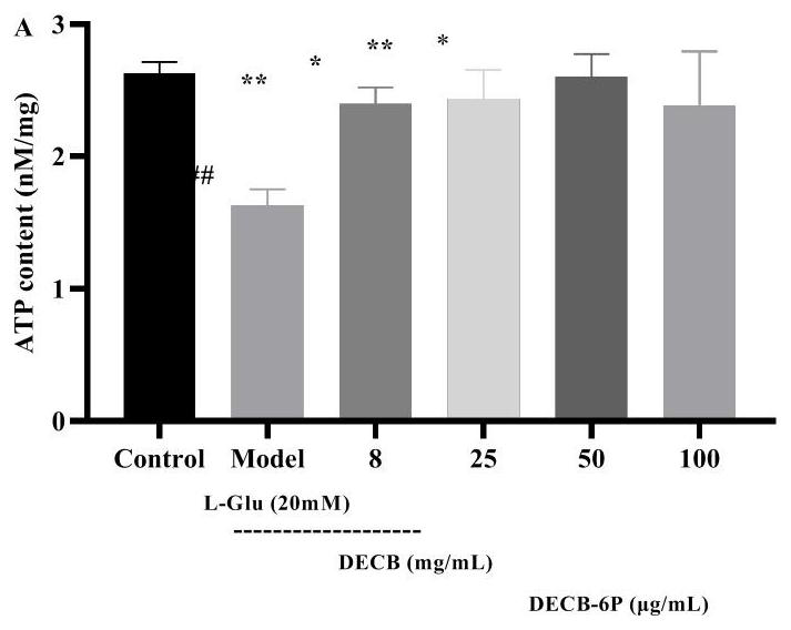 A kind of hexapeptide and its application and pharmaceutical composition