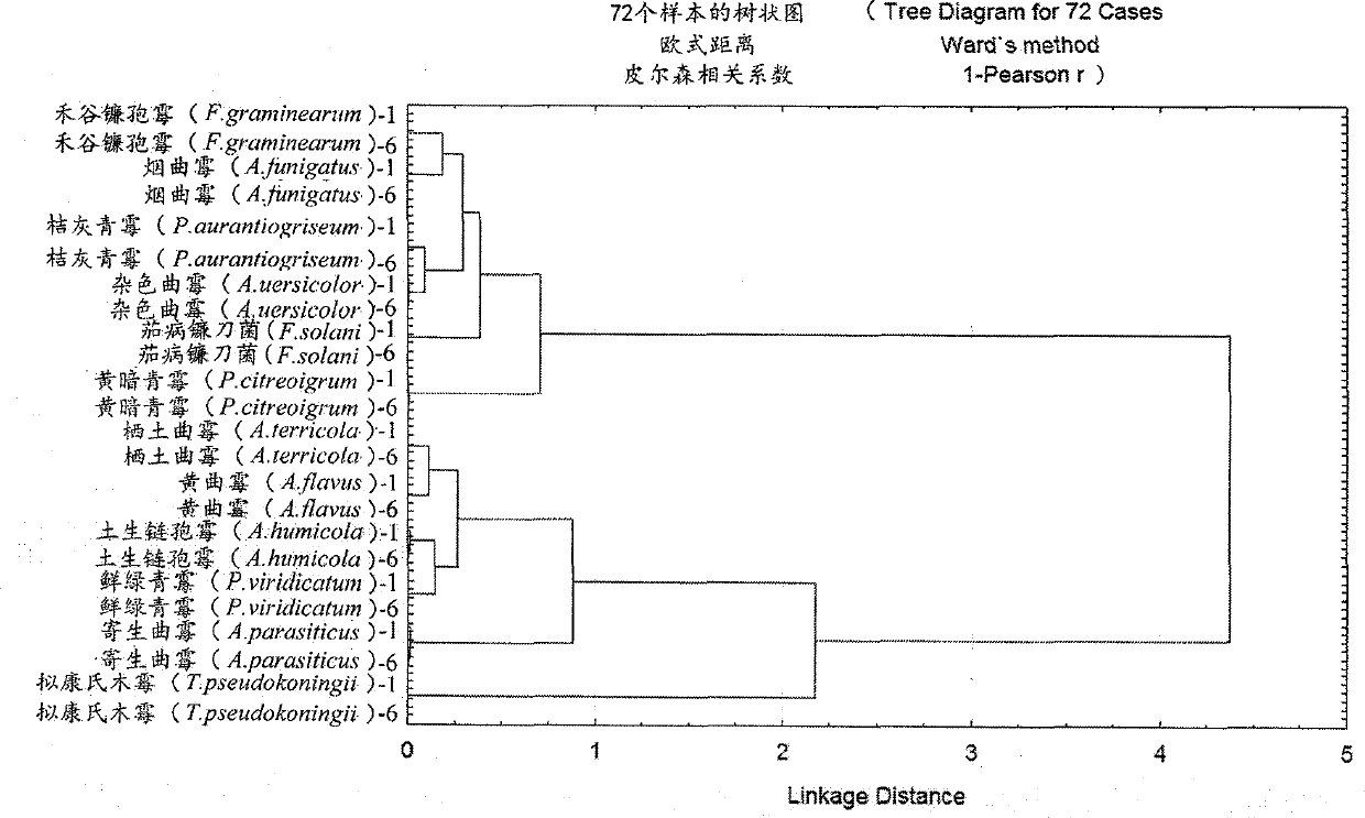 Classification and identification upon 12 fungi by using Fourier transform infrared spectroscopic technology