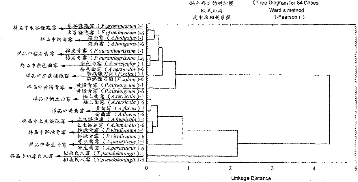 Classification and identification upon 12 fungi by using Fourier transform infrared spectroscopic technology