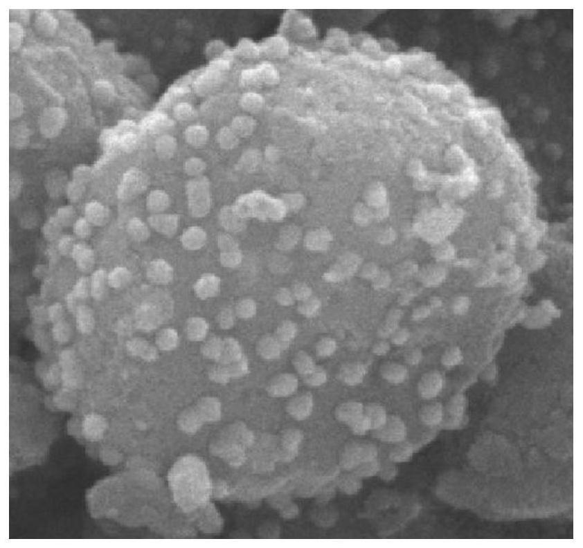 Catalyst for synthesizing salicylic acid through phenol carboxylation reaction and preparation method