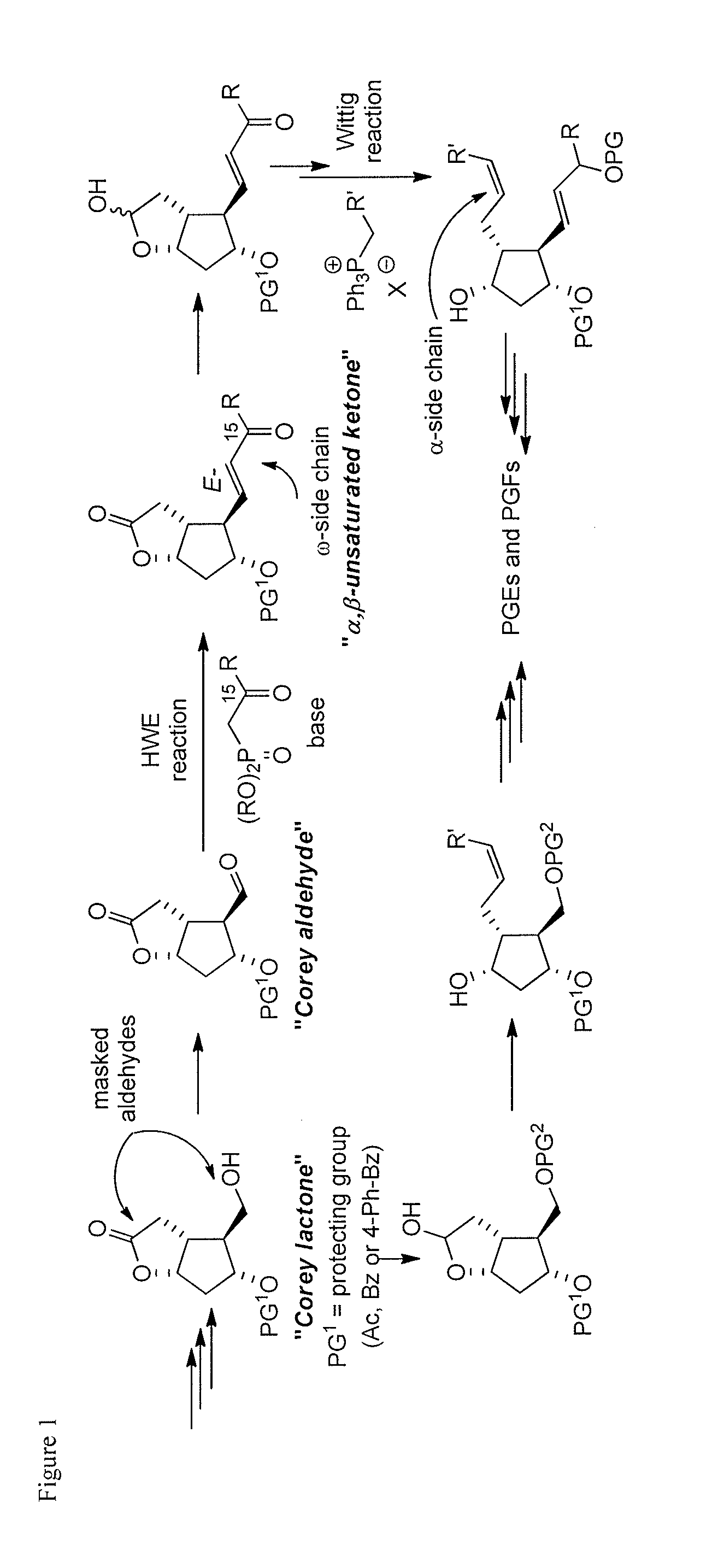 Metal-catalyzed asymmetric 1,4-conjugate addition of vinylboron compounds to 2-substituted-4-oxy-cyclopent-2-en-1-ones yielding prostaglandins and prostaglandin analogs