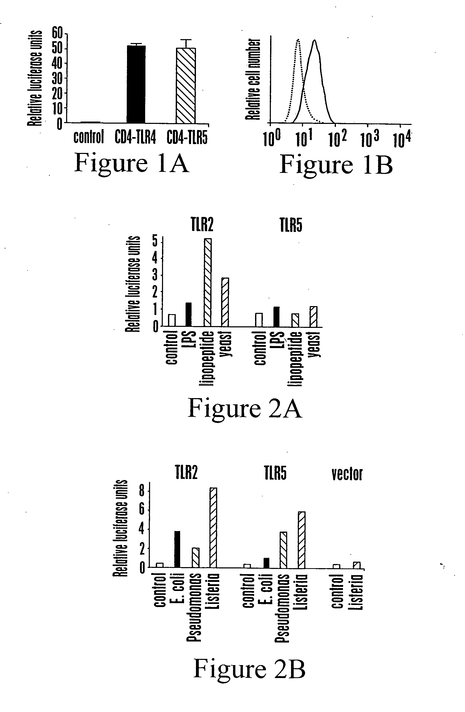 Toll-like receptor 5 ligands and methods of use