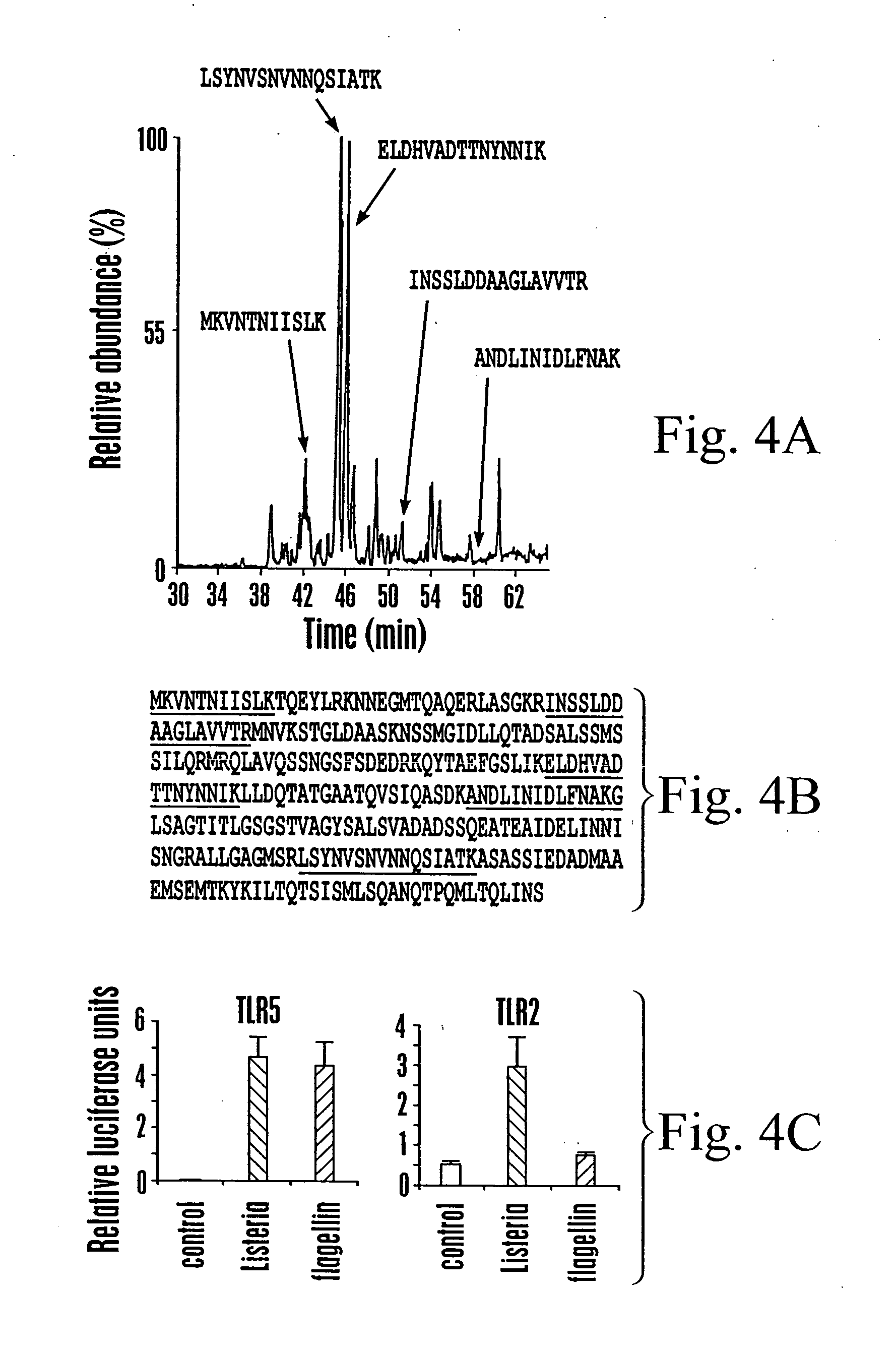 Toll-like receptor 5 ligands and methods of use