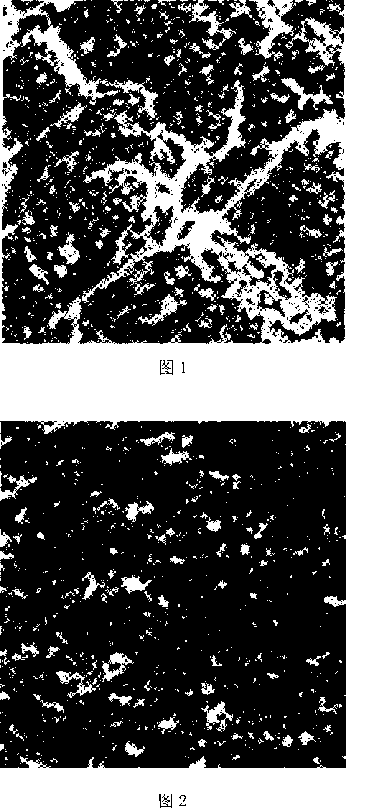 Electrochemical industrial titanium anode with oxide seed layer