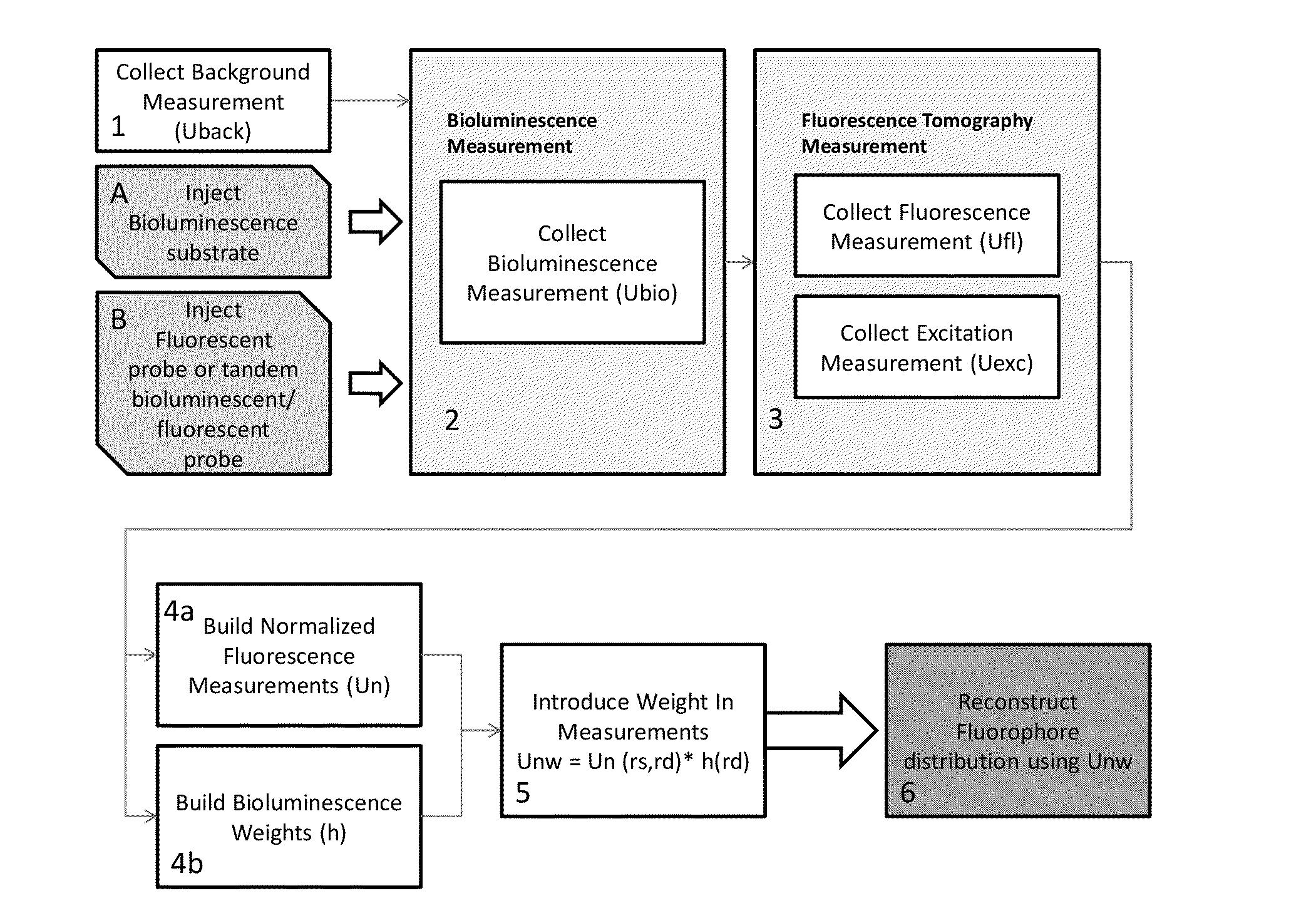 Systems, Methods, and Apparatus for Imaging of Diffuse Media Featuring Cross-Modality Weighting of Fluorescent and Bioluminescent Sources