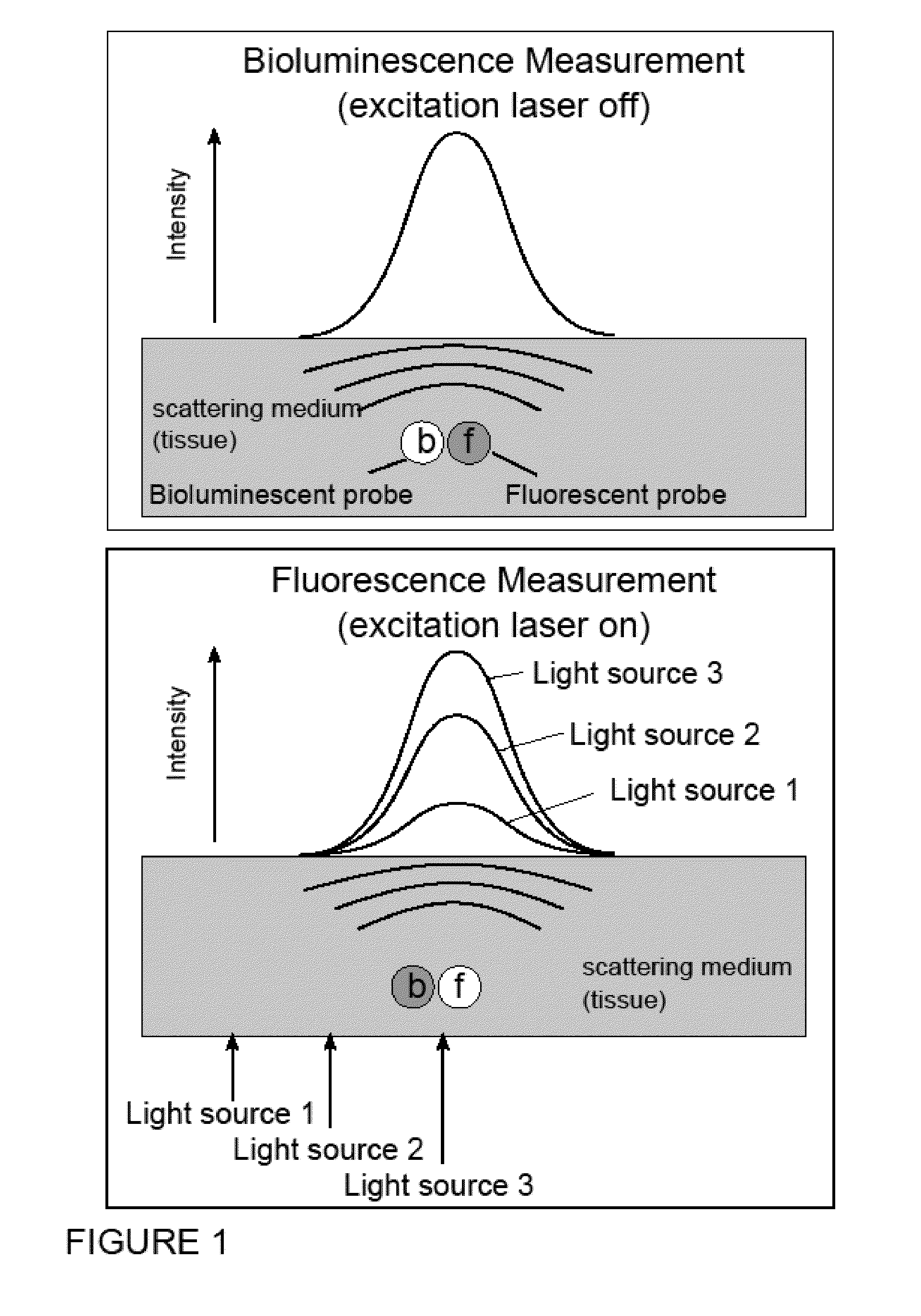 Systems, Methods, and Apparatus for Imaging of Diffuse Media Featuring Cross-Modality Weighting of Fluorescent and Bioluminescent Sources