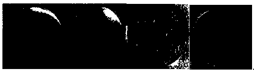 Method for improving bonding property of magnetron sputtering TiN coating on biomedical magnesium alloy surface