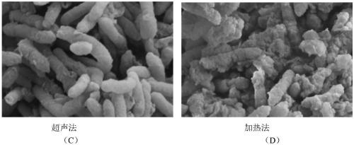 Method for extracting geobacter extracellular polymeric substances