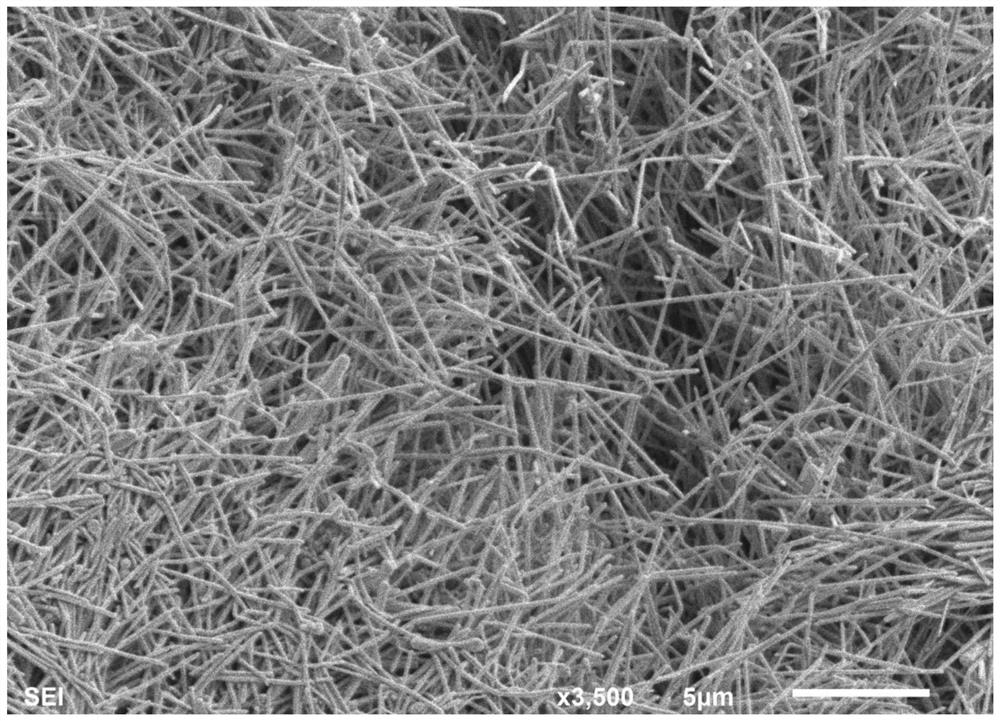 Silver nanowires and their preparation methods and applications