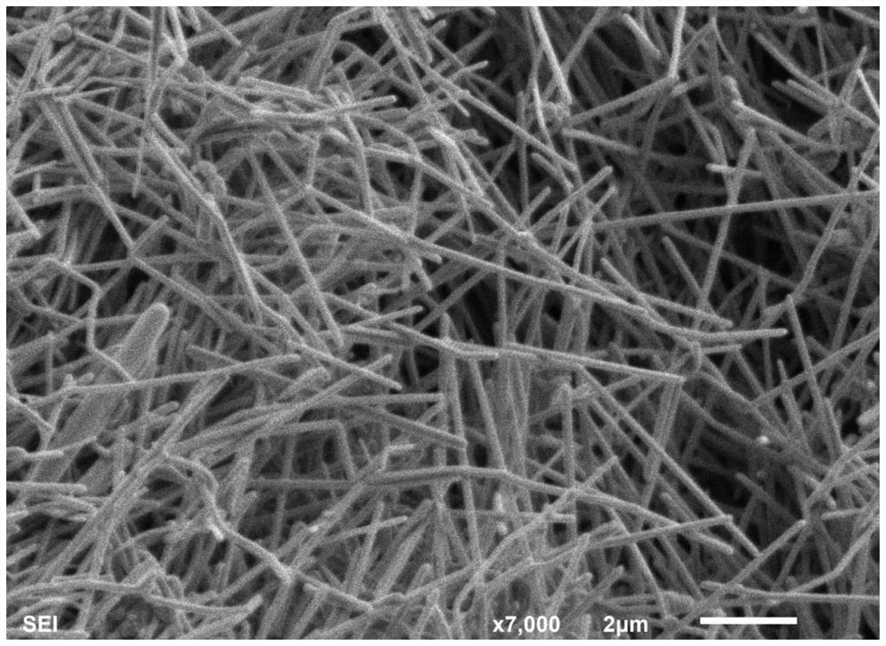 Silver nanowires and their preparation methods and applications