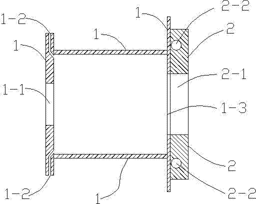 Method and device for gas protection of inductively coupled plasma ion source