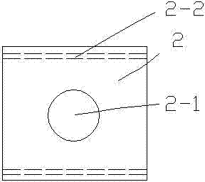 Method and device for gas protection of inductively coupled plasma ion source