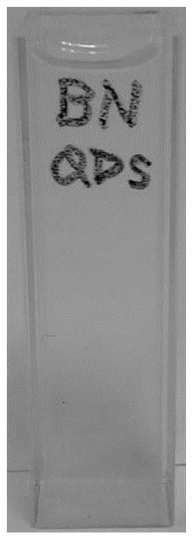 Water-soluble boron nitride quantum dot and preparation method thereof