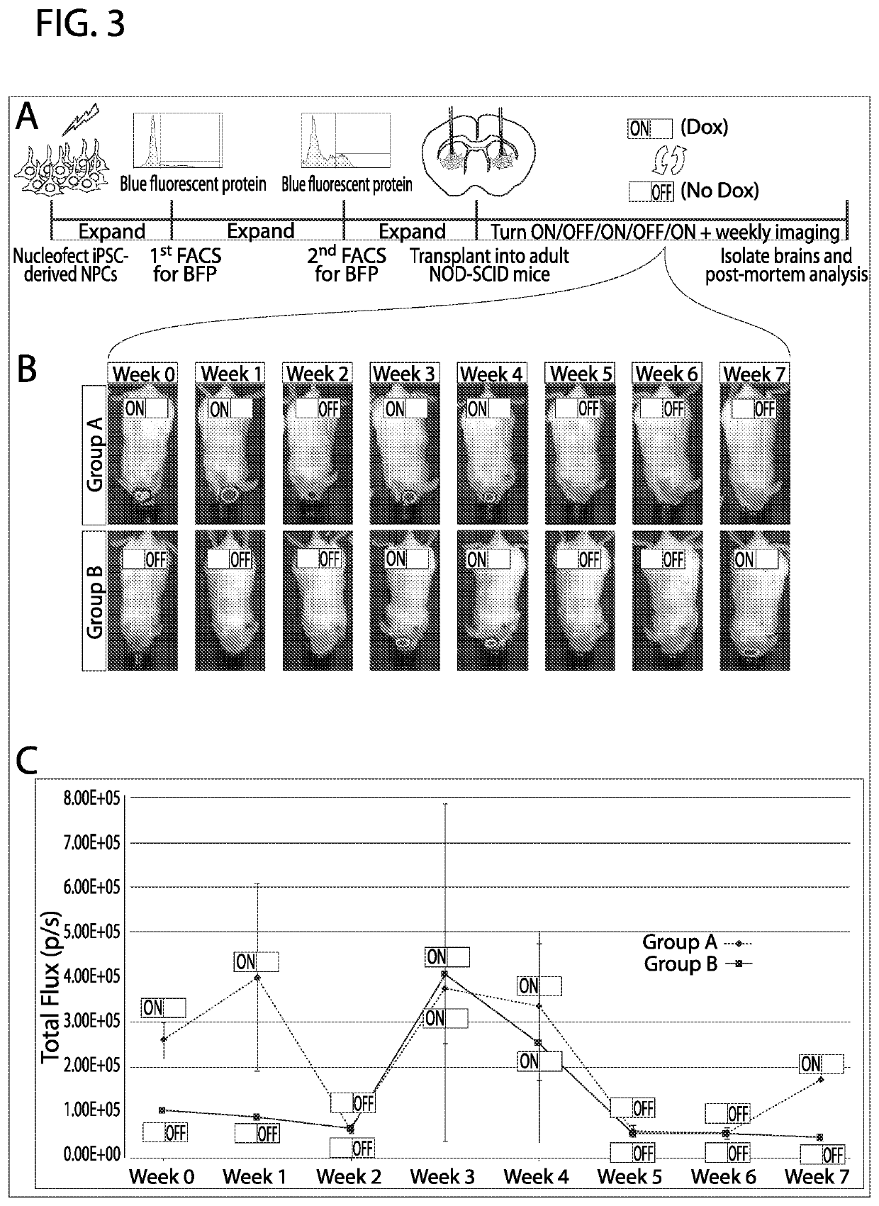 Methods and compositions for inducible expression of neurotrophic factors