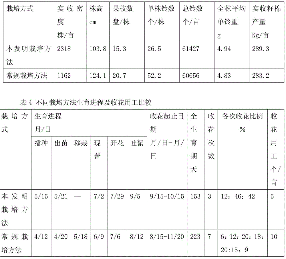 Cultivation method for concentrated boll opening of cotton in cotton regions of South China