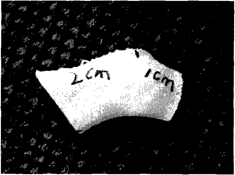 Orbital margin tissue engineering bone and application thereof