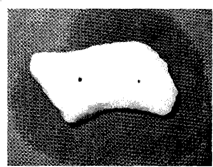 Orbital margin tissue engineering bone and application thereof