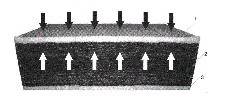 Polyester fiber coconut fiber plate and preparation method thereof