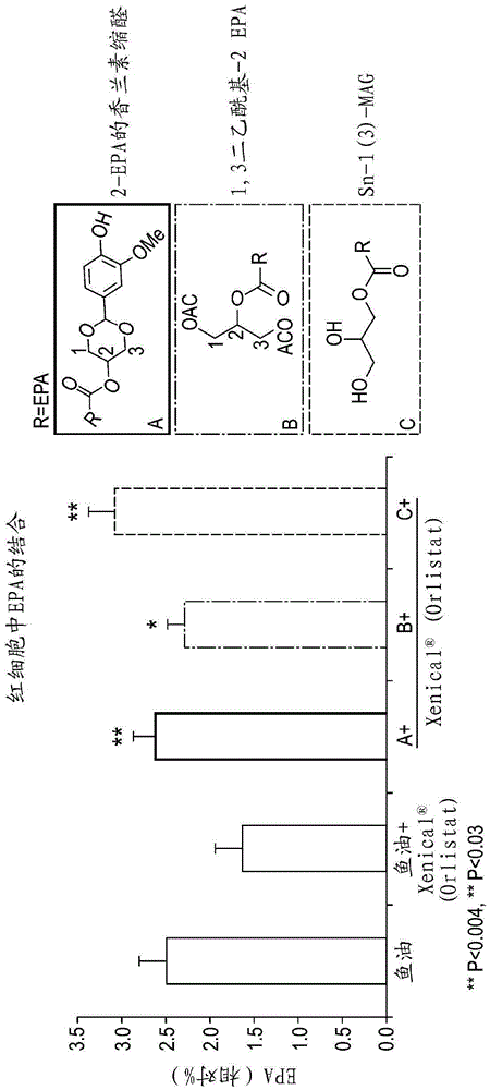 Monoacylglycerols and fat-soluble nutrients for use in the treatment of maldigestion