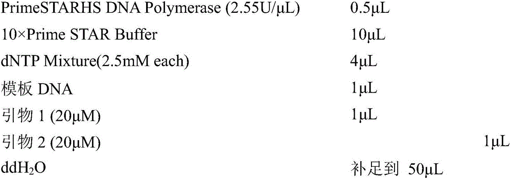 Esterase and application thereof