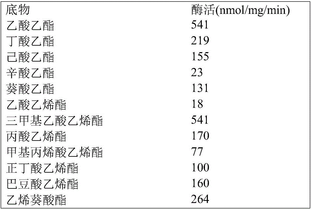 Esterase and application thereof