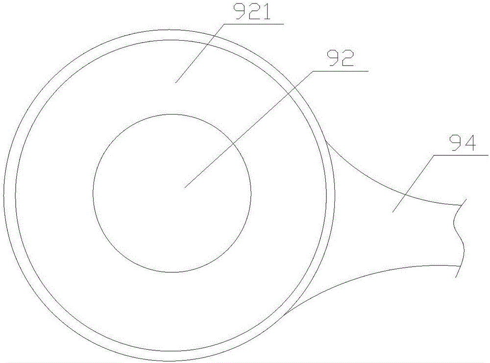 Bird egg sorting device