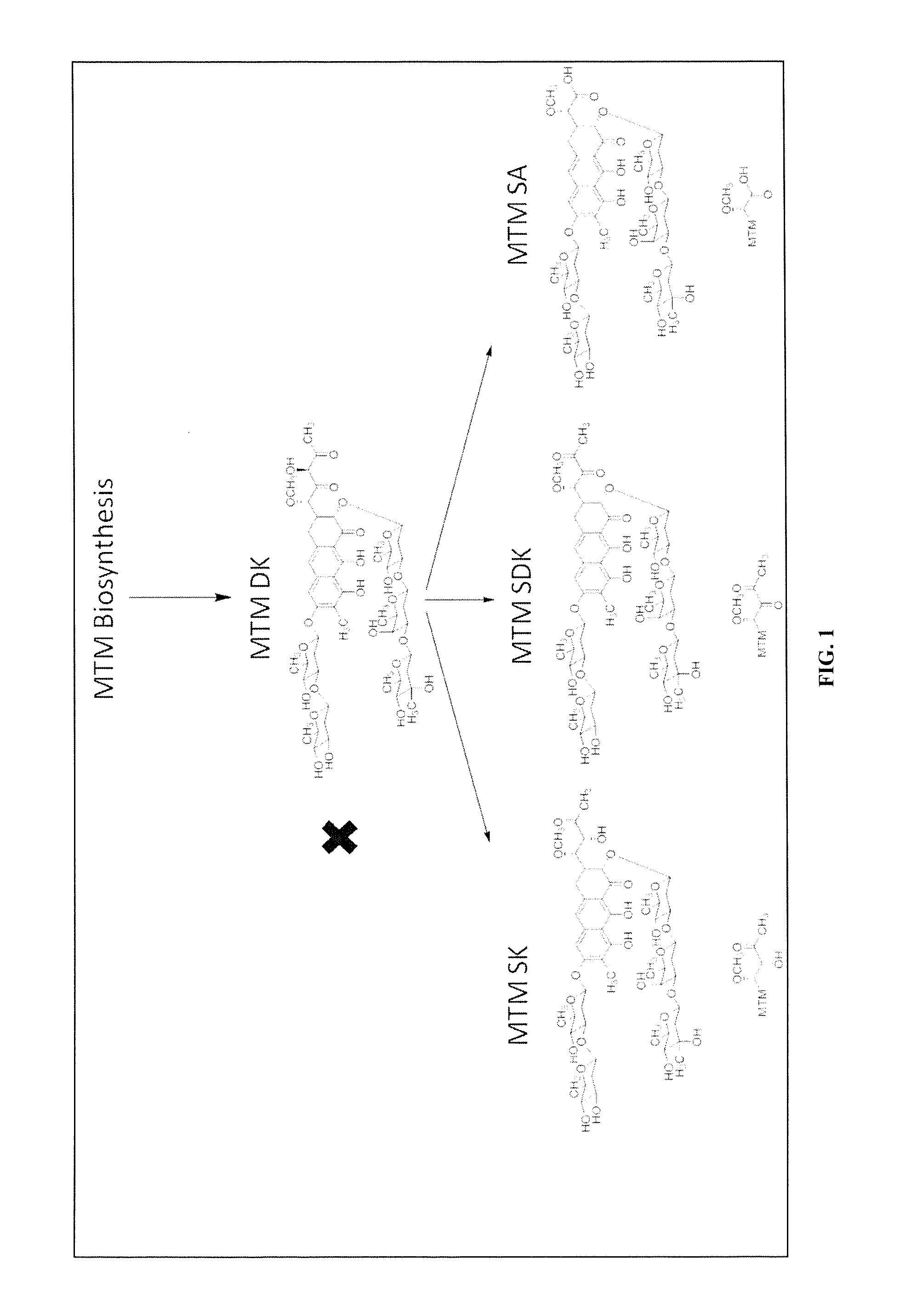 Semi-synthetic mithramycin derivatives with anti-cancer activity