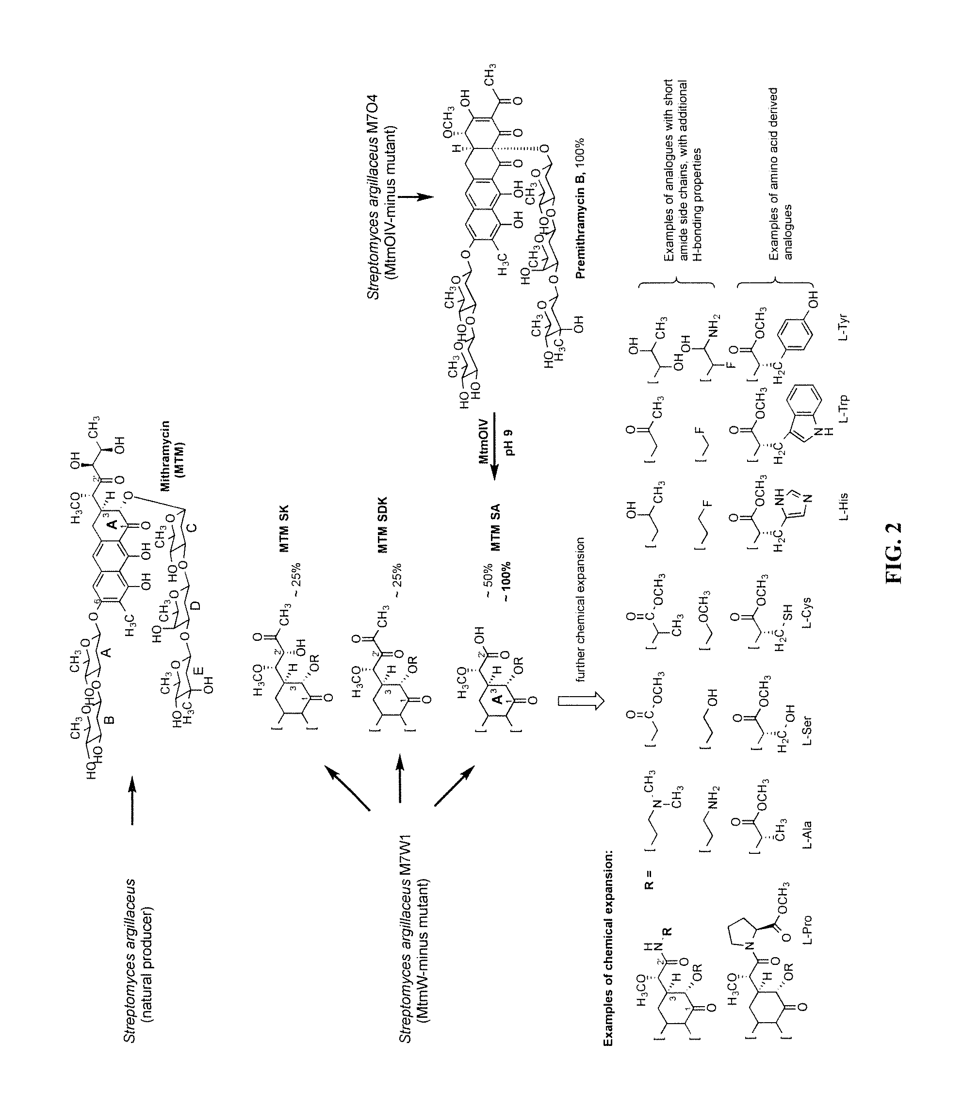 Semi-synthetic mithramycin derivatives with anti-cancer activity