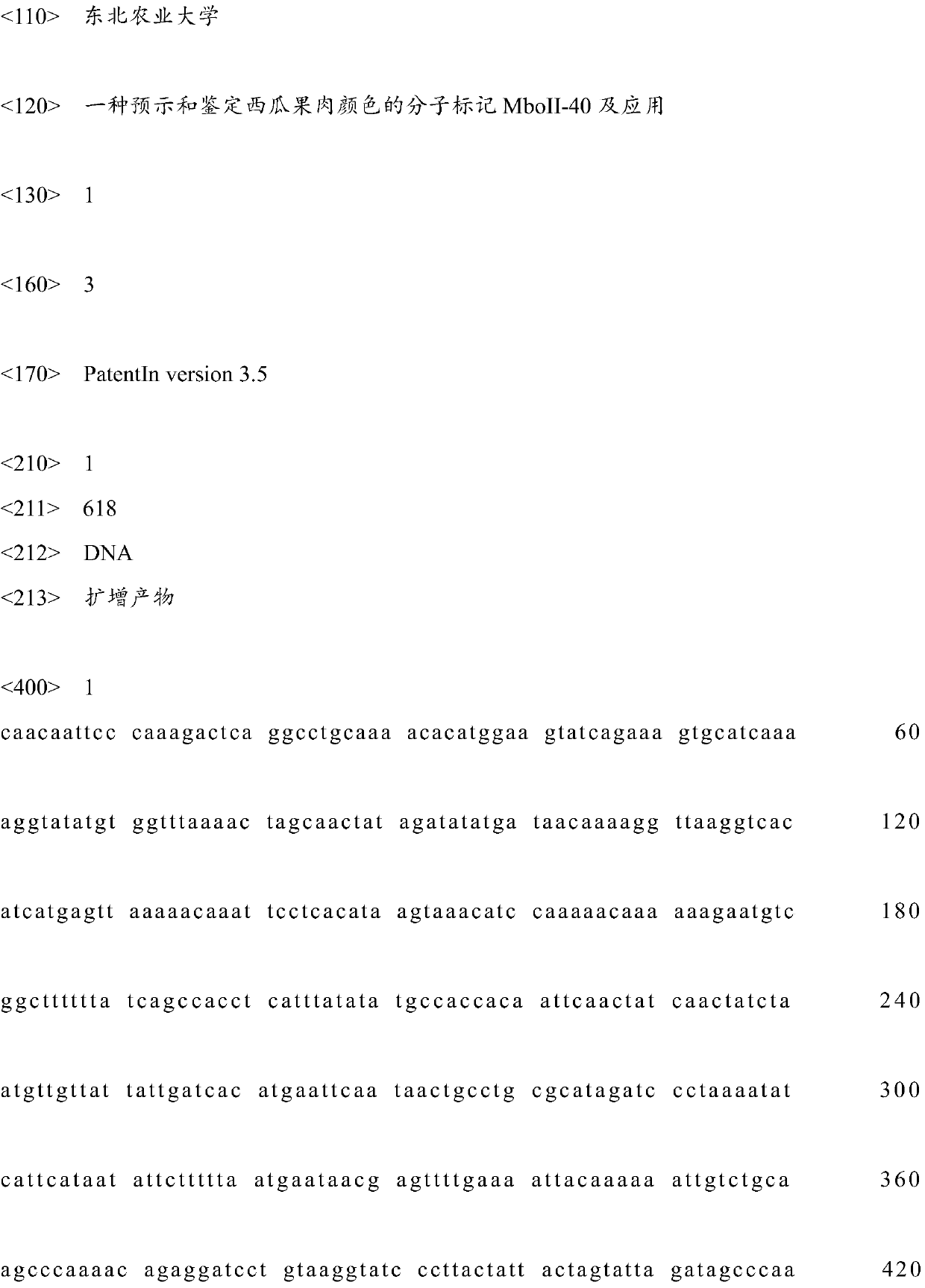 A molecular marker mboii-40 for predicting and identifying the color of watermelon pulp and its application