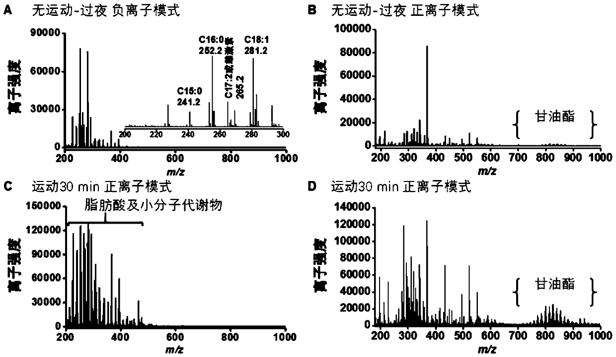 Silicon nanowire chip and mass spectrum detection method based on silicon nanowire chip