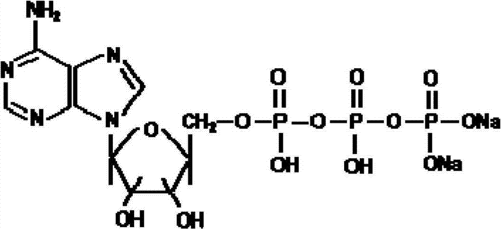 Novel active cytidine disodium triphosphate compound and pharmaceutical composition thereof