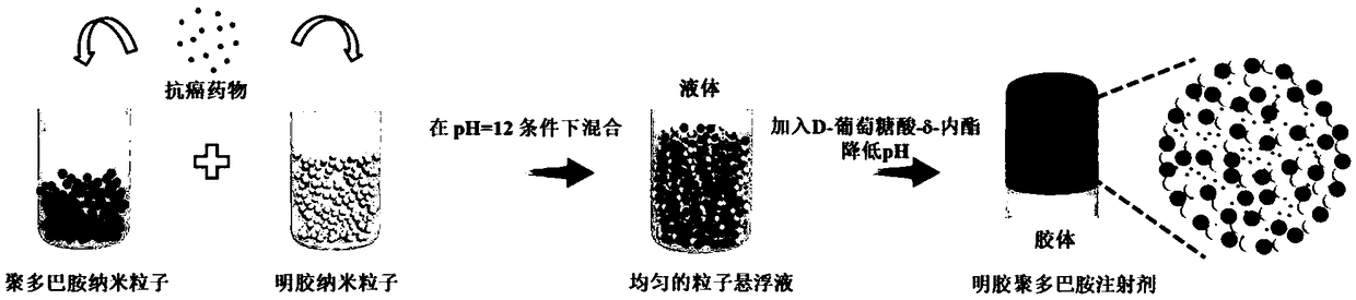 Charge reversal-mediated injectable colloid grain drug gel slow-release implant and preparation method thereof