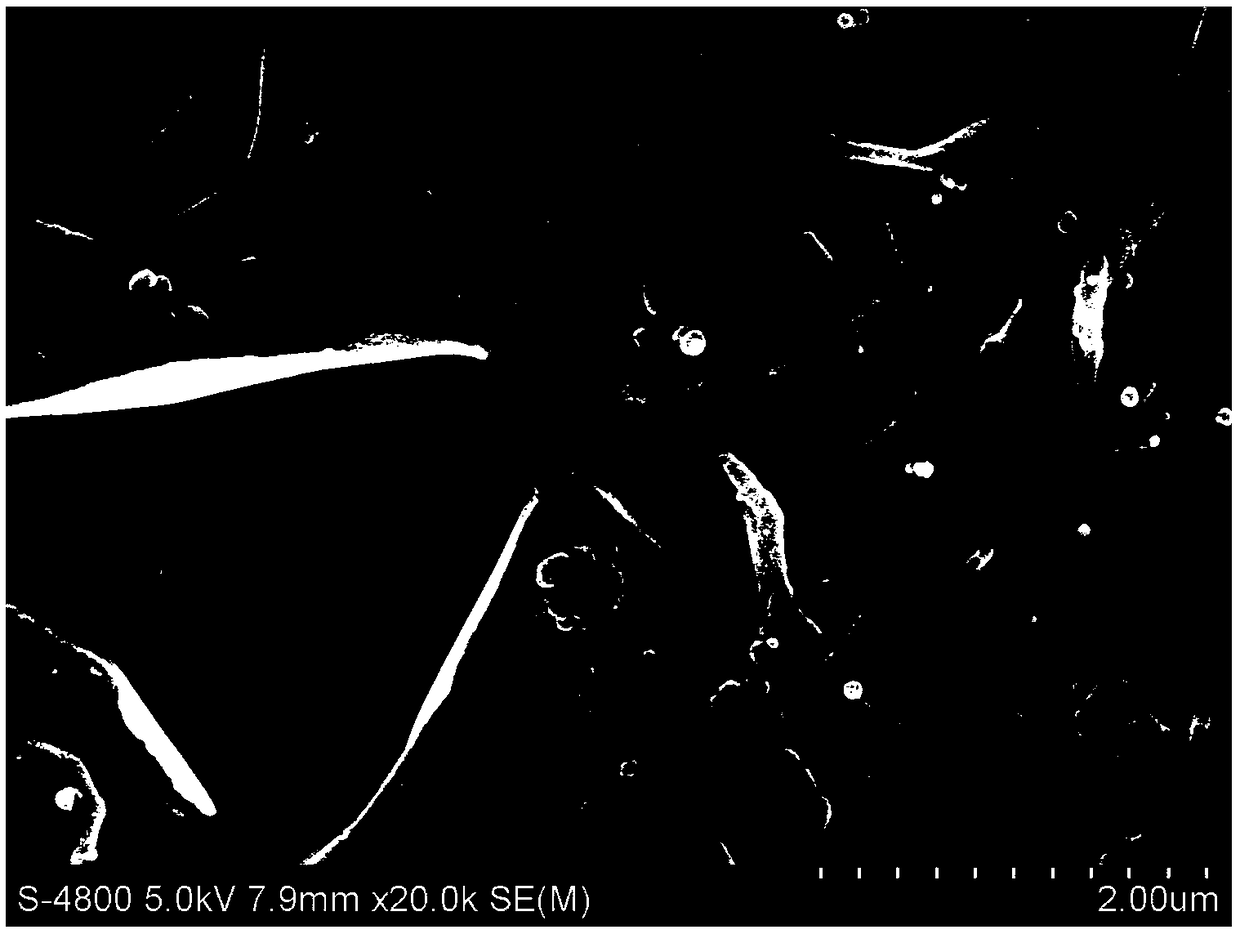 Preparation method of super hydrophobic and oleophobic film for dual-bionic film with photothermal effects