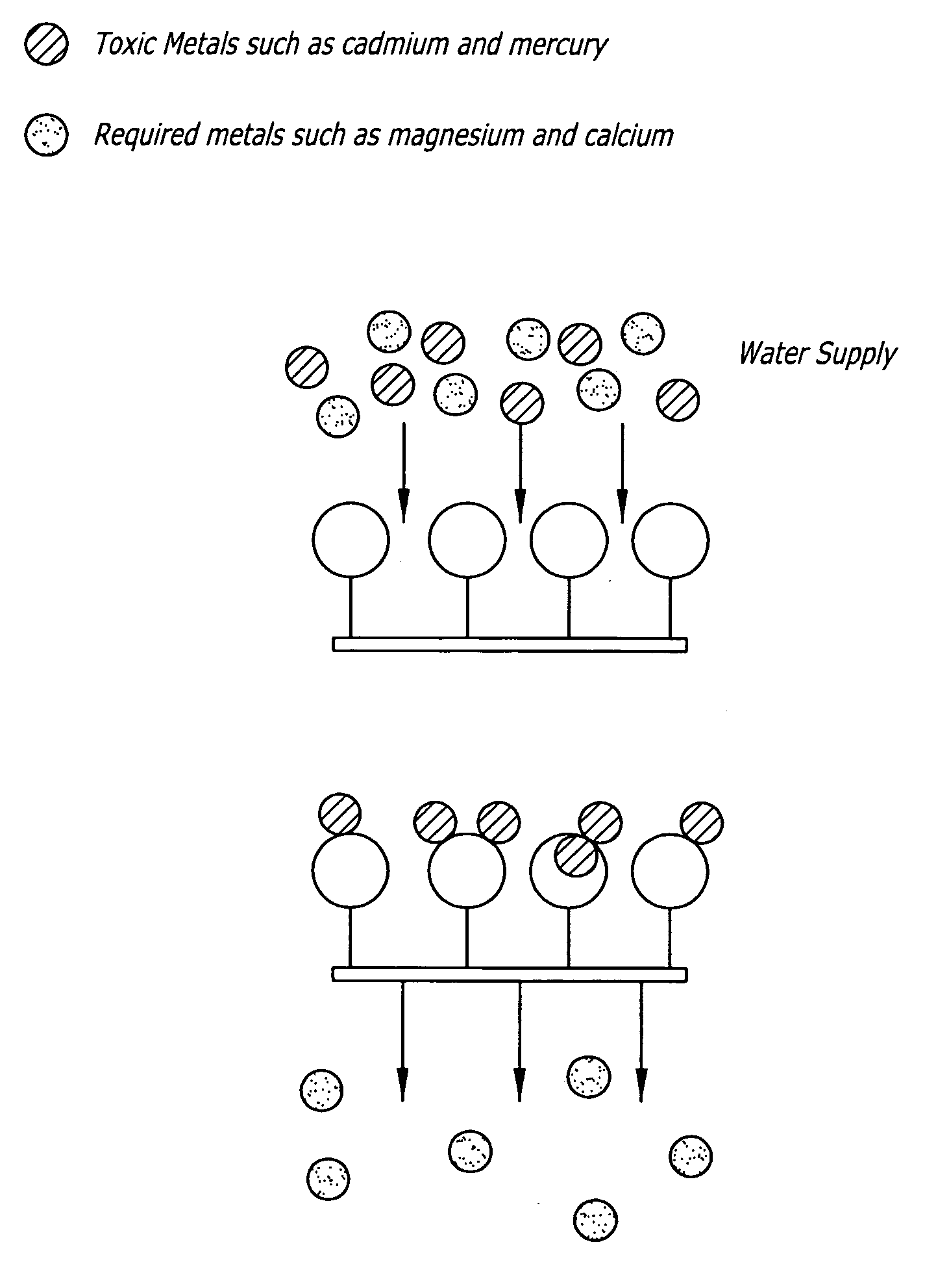 Compositions and methods for removing heavy metals from contaminated samples using membranes provided with purified metallothionein (MT) proteins